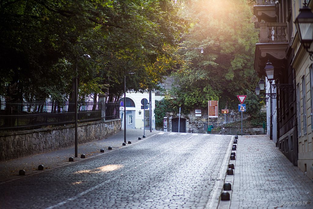 Streljačka ulica 2016. godine